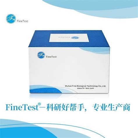 finetest elisa kit|mouse il 6 elisa kit.